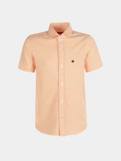 LION OF PORCHES Camisas^Camisa