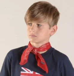 LION OF PORCHES Complementos^Lenço