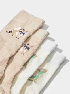 LION OF PORCHES Complementos^Pack 2 pares de meias