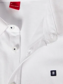 LION OF PORCHES Polos^Polo camisa em algodão com riscas
