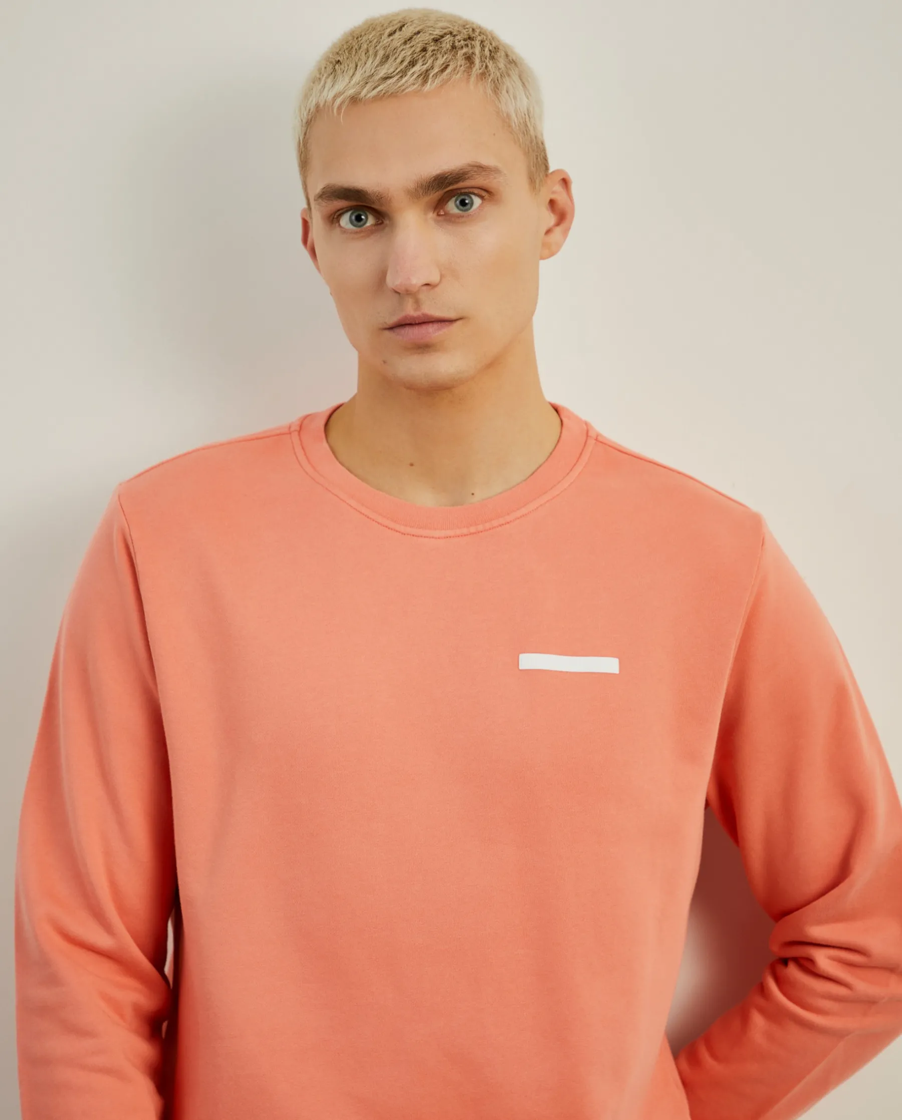 LION OF PORCHES Sweats^Sweater básica de algodão
