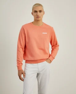 LION OF PORCHES Sweats^Sweater básica de algodão
