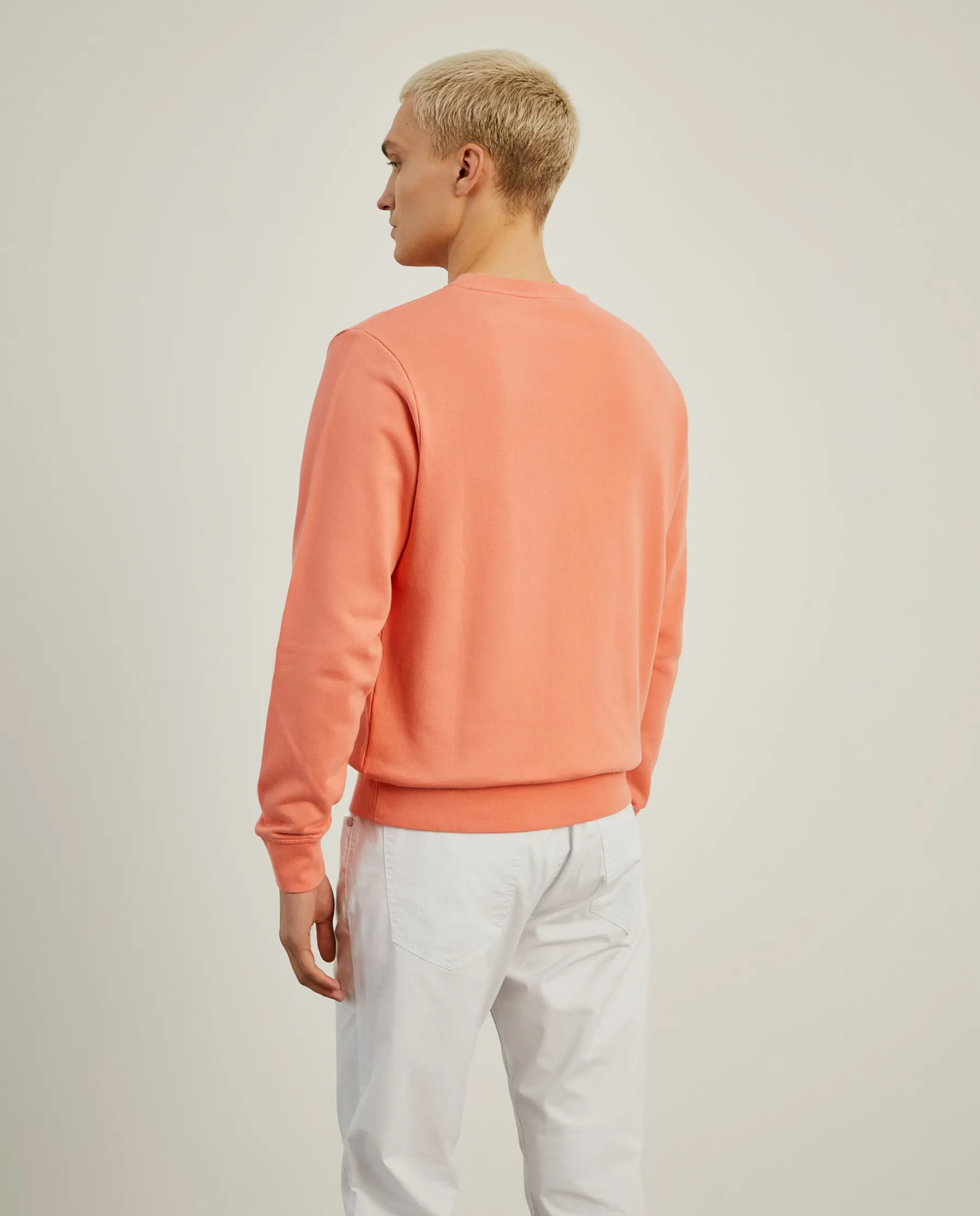 LION OF PORCHES Sweats^Sweater básica de algodão
