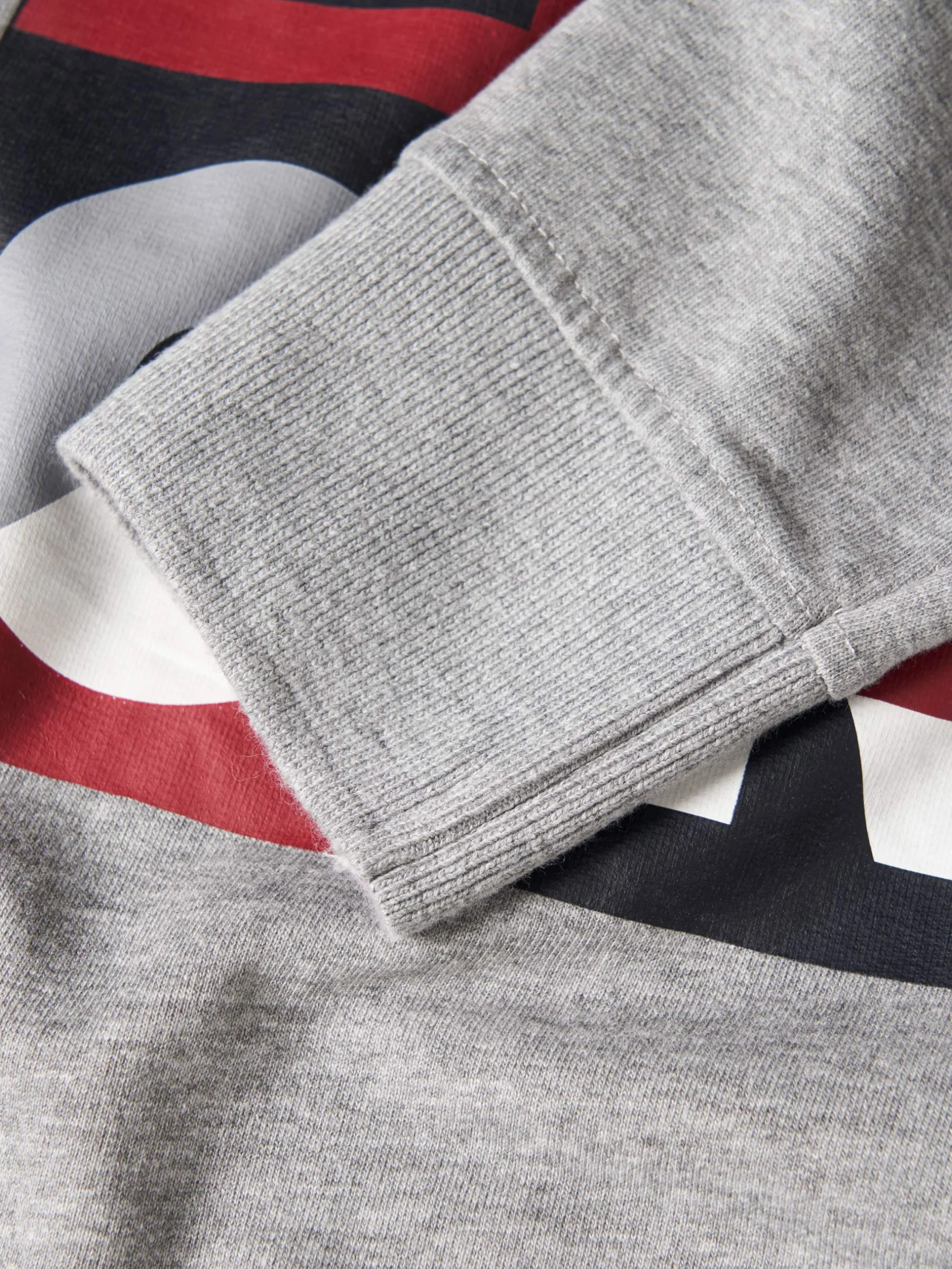 LION OF PORCHES Sweats^Sweater com estampado e capuz