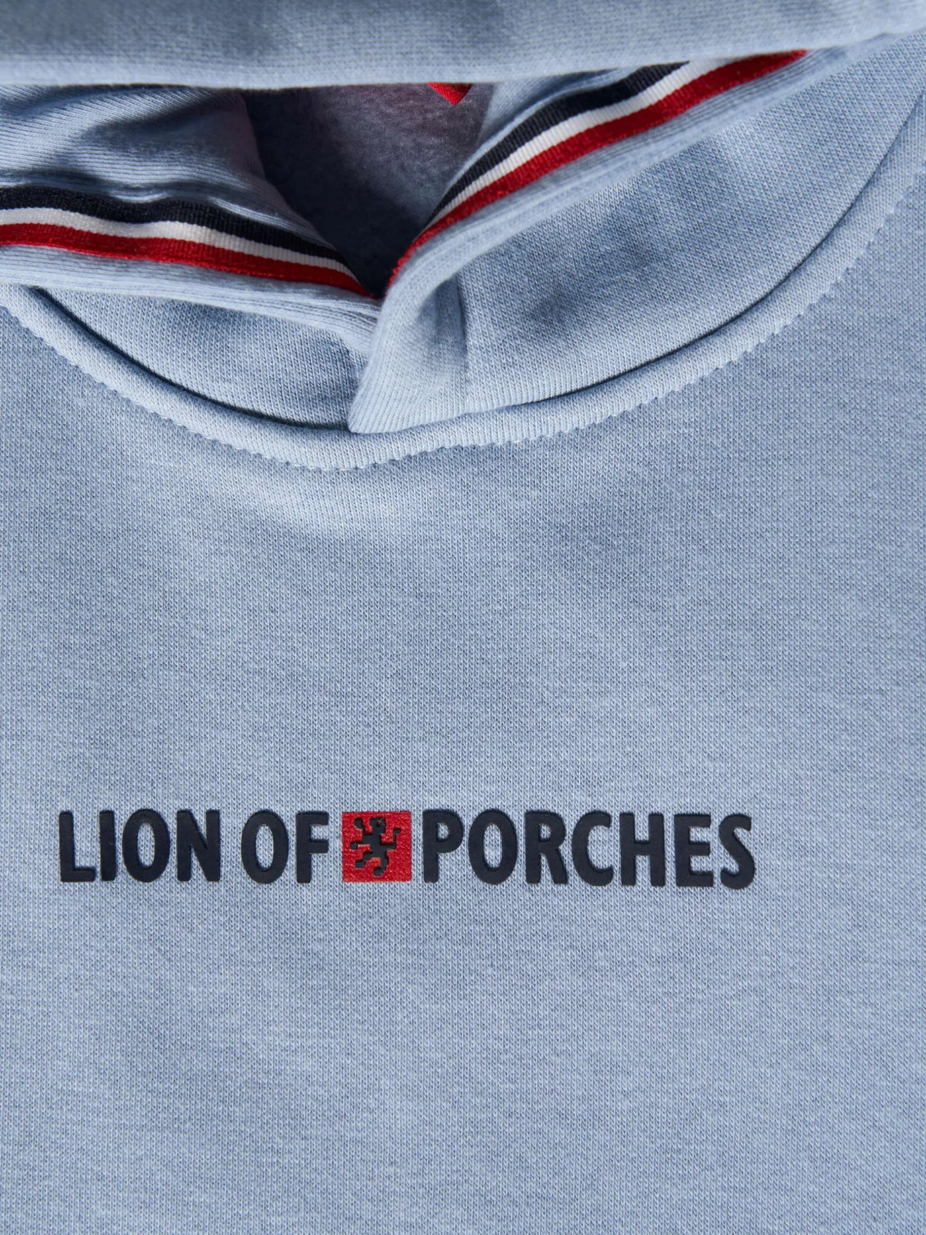 LION OF PORCHES Sweats^Sweater com capuz