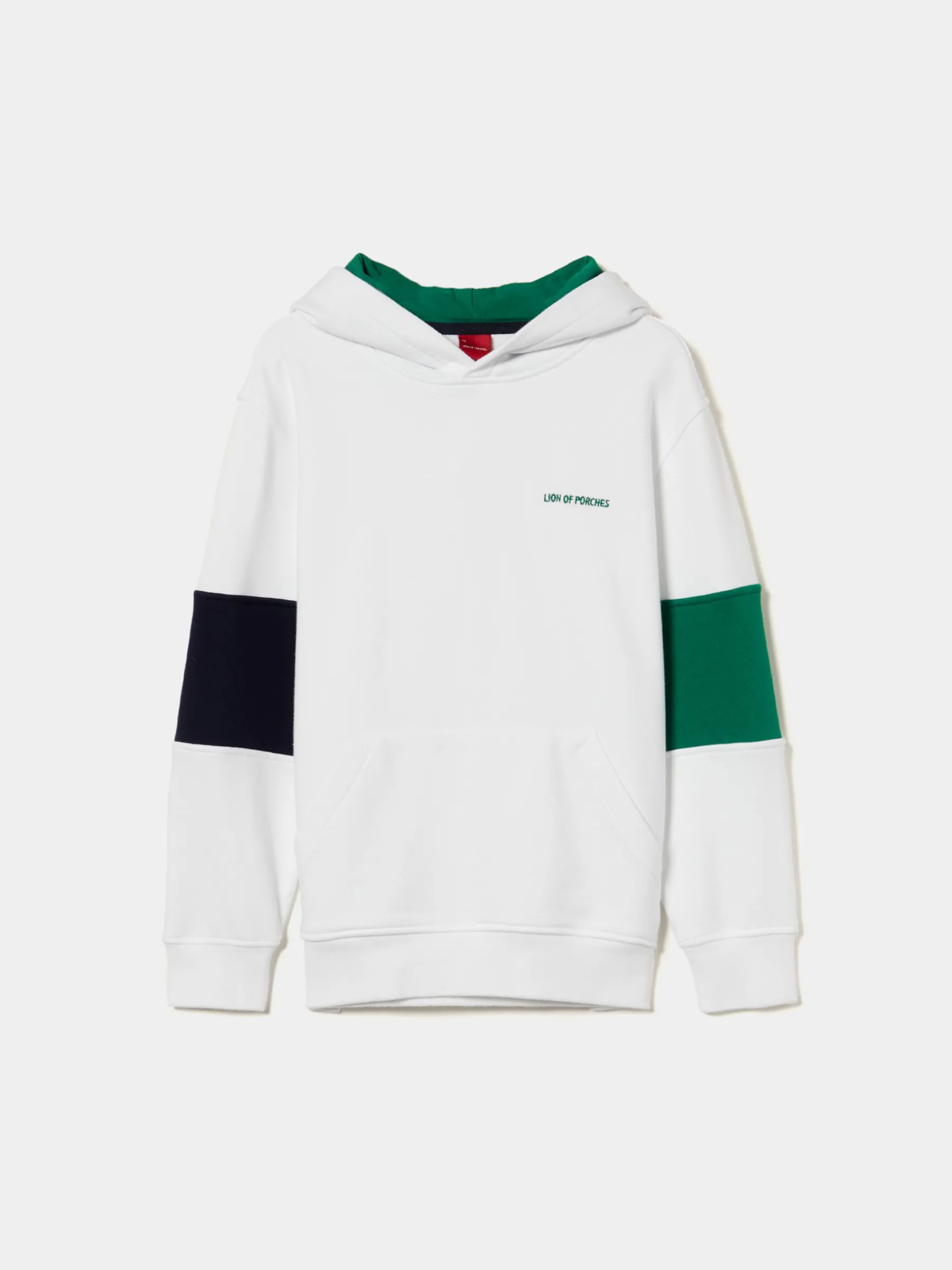 LION OF PORCHES Sweats^Sweater tricolor com capuz
