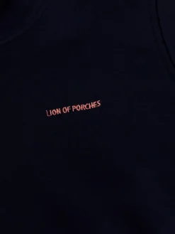 LION OF PORCHES Sweats^Sweater tricolor com capuz