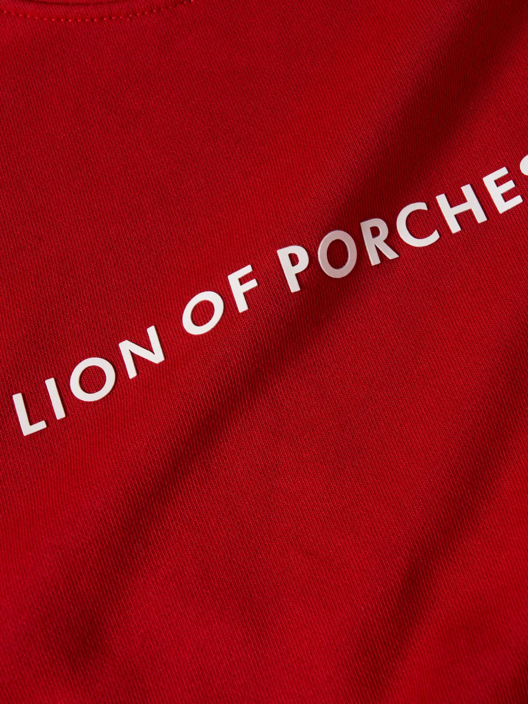 LION OF PORCHES Sweats^Sweatshirt de algodão com branding
